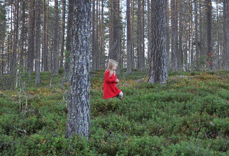 Barn som går i skogen