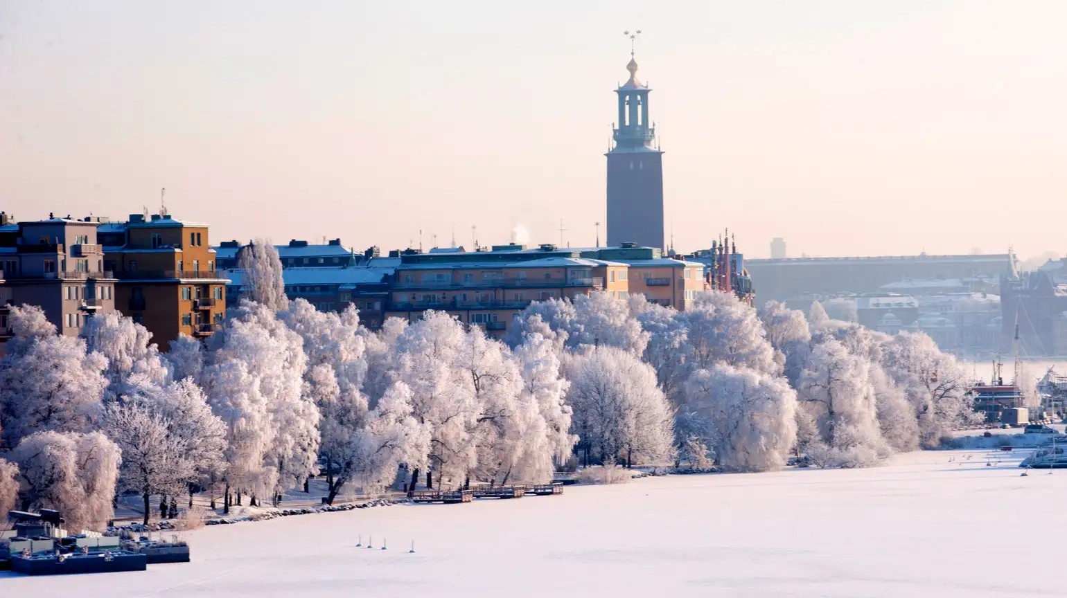Fyrås Trä värmer Stockholm i vinter – levererar flis till Stockholm Exergi